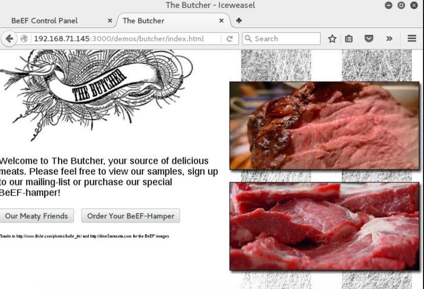 A Brief BeEF Overview - Professionally Evil Insights