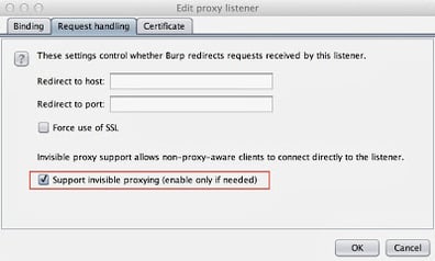 Intercepting DNS 4