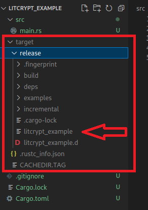 The file structure has changed after the build to output the binary.