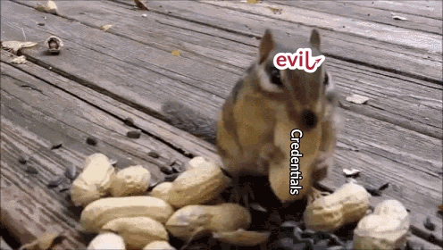 squirrel