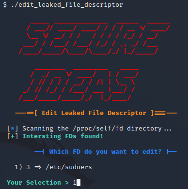 Running the tool give us a menu to select the interesting file descriptors.