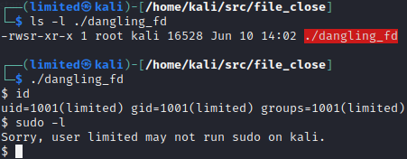 Example run of the SetUID binary showing the limited user shell and lack of sudo permissions.