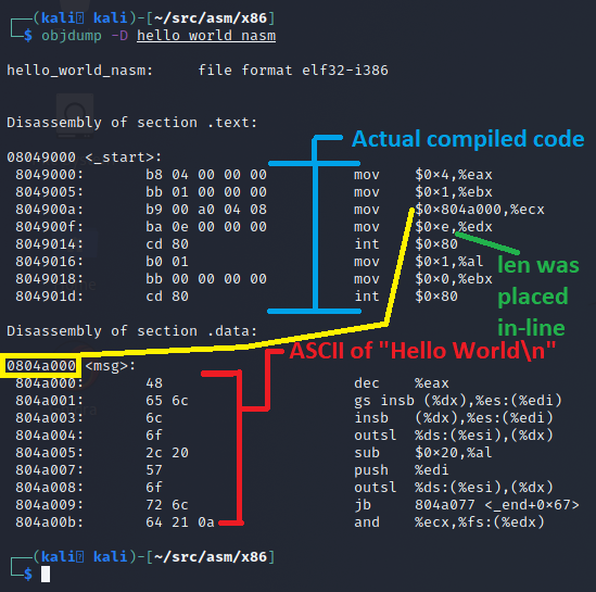 object dump output of our NASM Hello World program