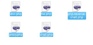 Laudanum PHP directory listing showing available scripts