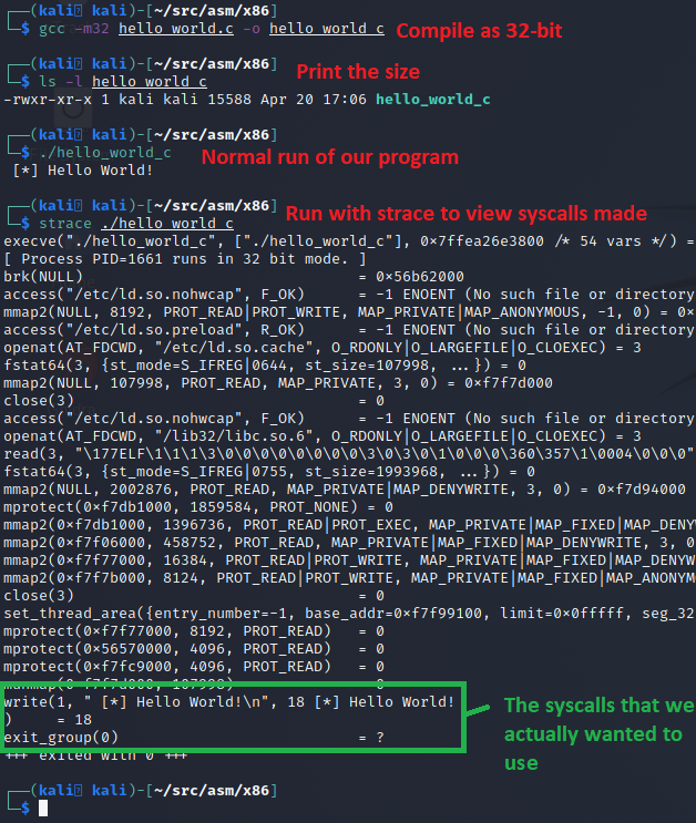 compiling, running, and analysis of the hello world program written in C.