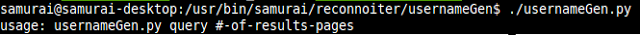Reconnoiter username generator command syntax showing usage options
