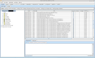 Burp Suite site map showing the target application mapped as an administrator user