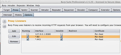 Burp Suite showing proxy listeners on ports 80 and 443