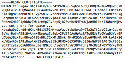 Contents of the ca.crt file showing the Base64-encoded certificate