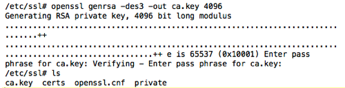 Terminal output showing the OpenSSL genrsa command creating the CA private key
