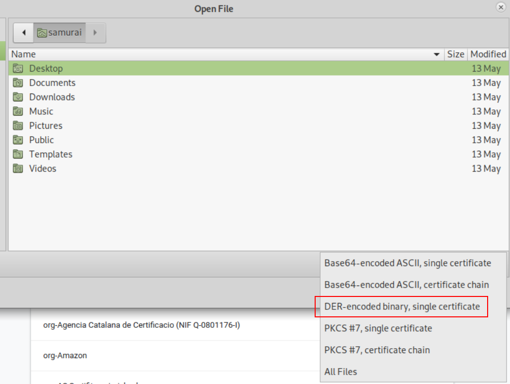 File open dialog for selecting the exported Burp CA certificate file