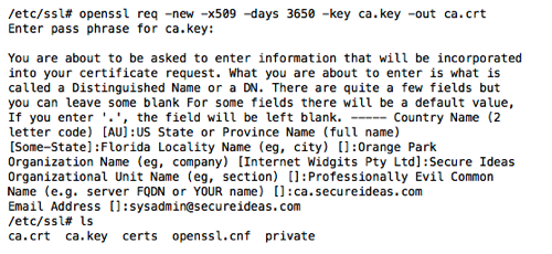 Terminal output showing the OpenSSL certificate signing process with organization details