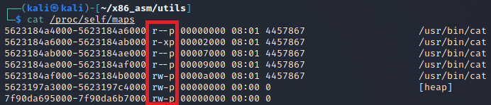 A view of memory mapping permission of the cat program on a Linux system.