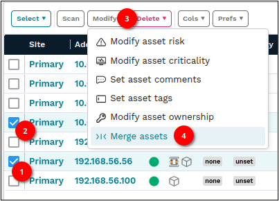 runZero merge assets dialog