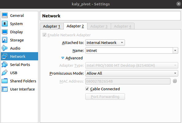 Kali VM Internal Network adapter settings