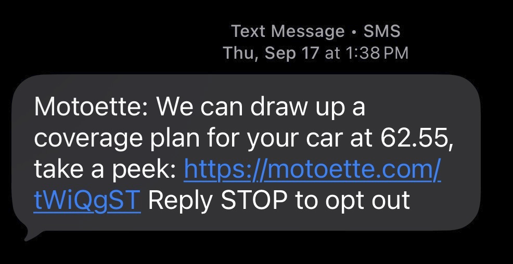 Example smishing text message disguised as a marketing offer with a suspicious link and Reply STOP opt-out text