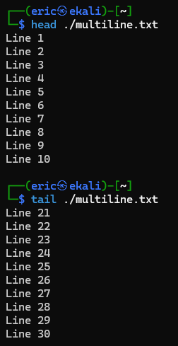 Linux head and tail output