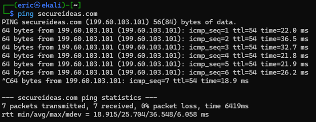 Linux ping output