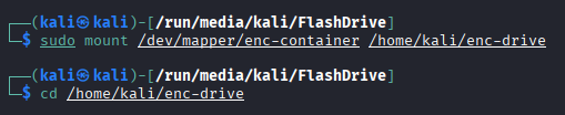 Terminal output showing the mount command completing successfully