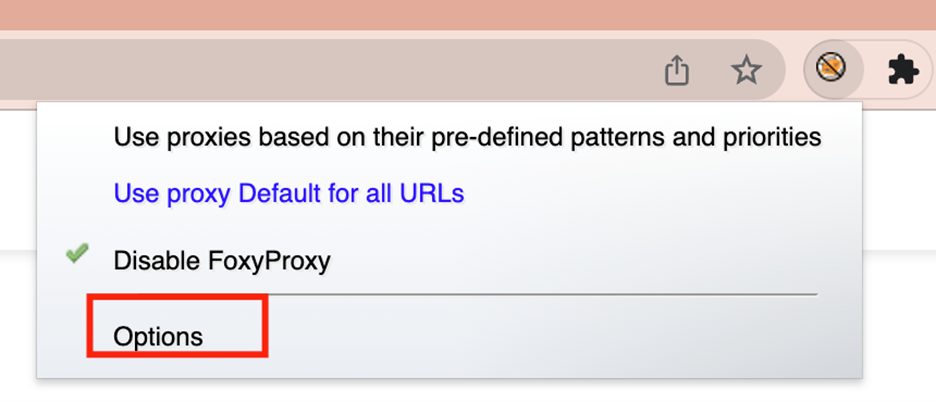 Chrome FoxyProxy extension menu with Options highlighted