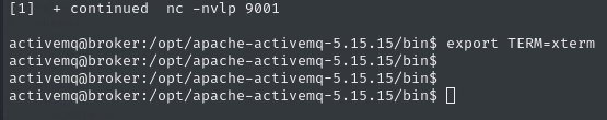Exporting TERM variable to xterm