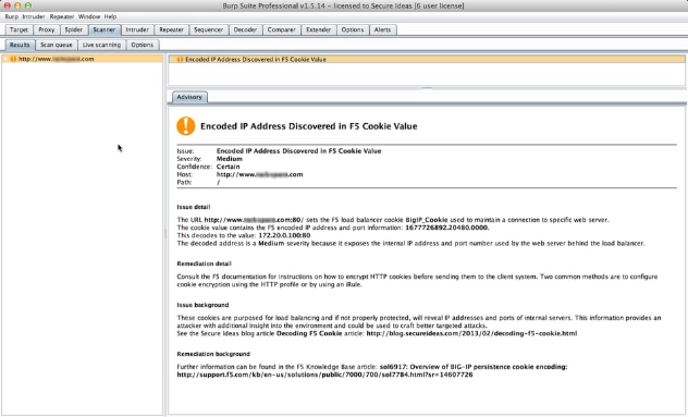 Burp Suite Scanner Advisory showing the decoded F5 BigIP cookie finding