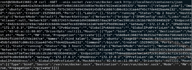JSON output from Docker API listing all running containers with their configuration details