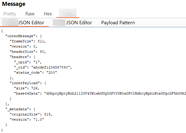 Decoded JSON payload