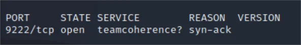 NMAP scan results incorrectly identifying Chrome debug port as teamcoherence