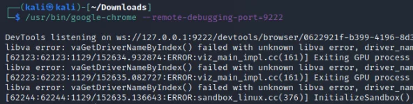 Terminal output showing Chrome DevTools listening on 127.0.0.1 port 9222