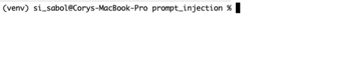 Starting ncat listener for reverse shell