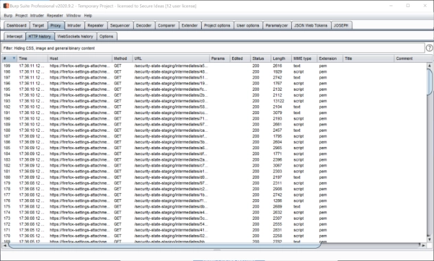 Burp Suite proxy history showing over 200 requests generated by Firefox on startup